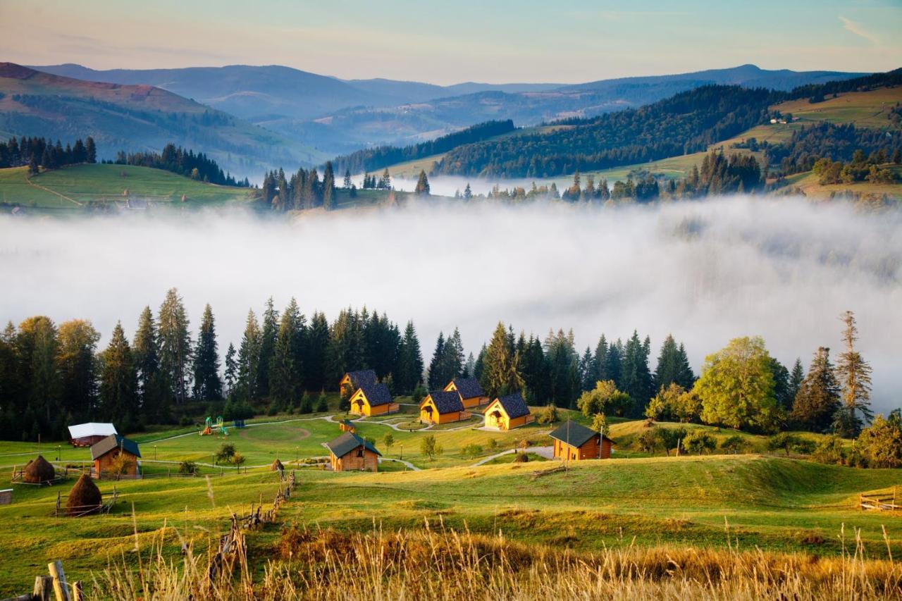 Gostyniy Dvir Synevir Hotel ซีเนวีร์ ภายนอก รูปภาพ