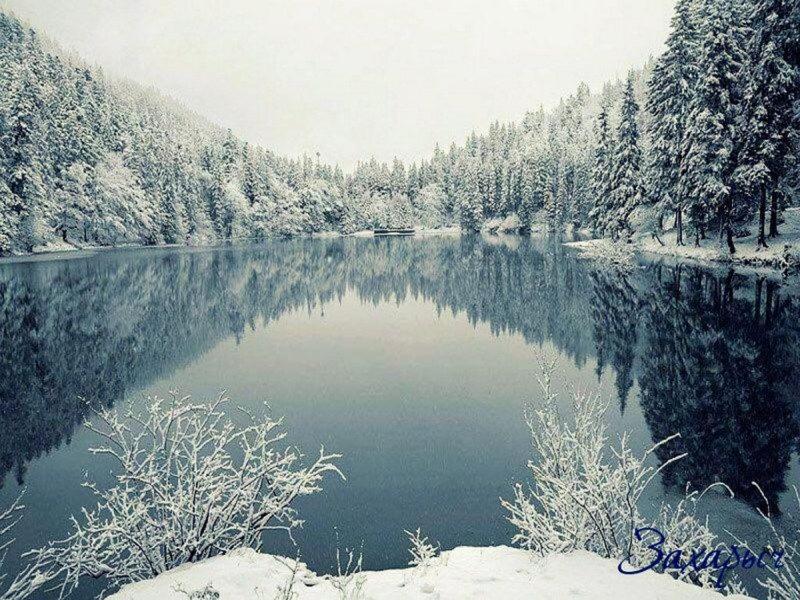 Gostyniy Dvir Synevir Hotel ซีเนวีร์ ภายนอก รูปภาพ